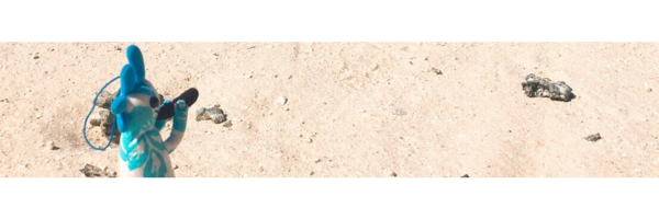 古代インディアンの壁画に描かれている「ココペリ」。