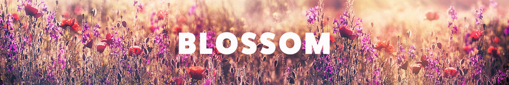 お花が入ったスキンケア BLOSSOM