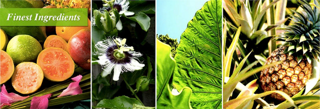 ハワイのマウイ島で生まれたブランド KULA HERBS